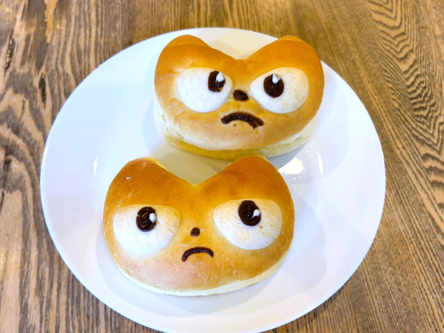 Y-CATパン（選べる2個セット）【2026年12月までの期間限定販売】